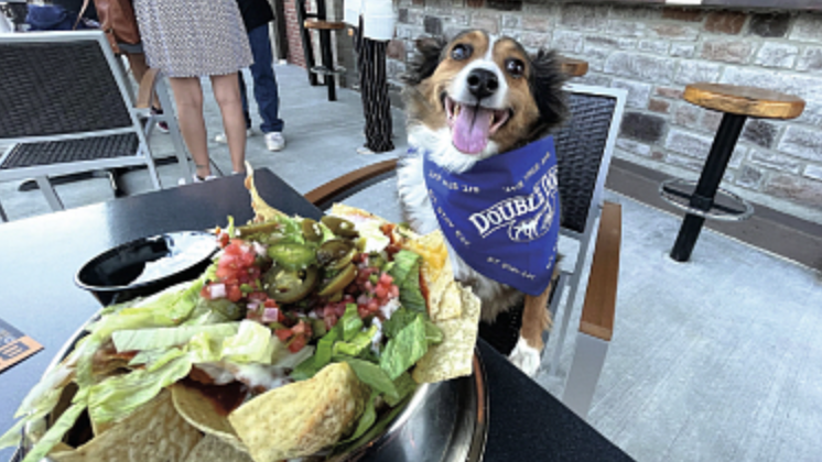 Double Dogs